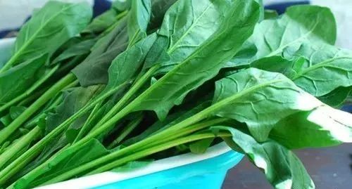 对眼睛好的食物,中老年人很需要