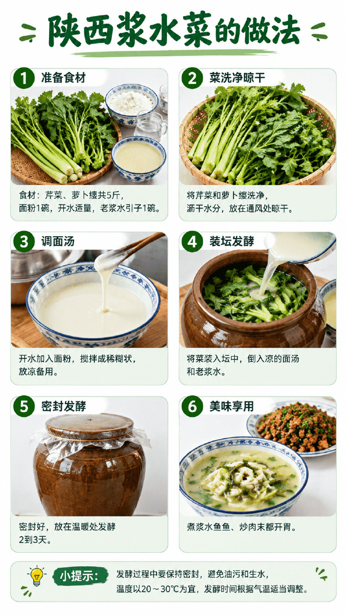 陕西浆水菜的做法