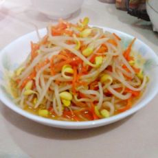 胡萝卜炒黄豆芽的做法 胡萝卜炒黄豆芽的做法
