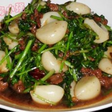 香菜肉末烧蒜的做法 香菜肉末烧蒜的做法