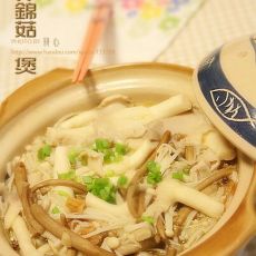 什锦菇煲的做法 什锦菇煲的做法