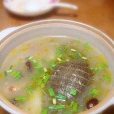 清炖甲鱼的做法 清炖甲鱼的做法