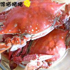 水煮螃蟹的做法
