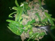 青椒炒肉片的做法