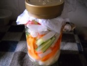 家庭自制开胃解腻醋泡菜的做法
