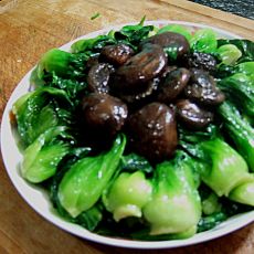 香菇菜心的做法 香菇菜心的做法