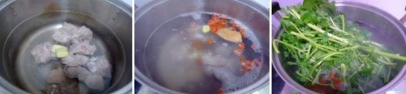 西洋菜排骨汤