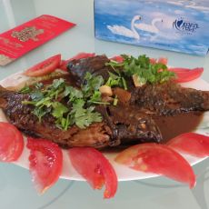 家常炖鲫鱼的做法 家常炖鲫鱼的做法