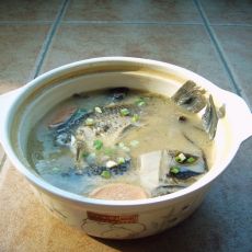 鲫鱼汤的做法 鲫鱼汤的做法