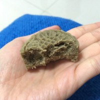 不脱皮的绿豆糕怎么做