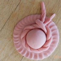 可爱的小帽子花卷做法 ---点亮你的餐桌