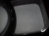 椰浆西米冻的制作方法