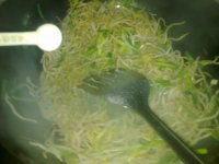 韭菜炒豆芽的做法