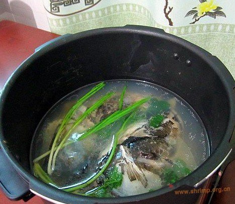 煲鱼头汤的做法
