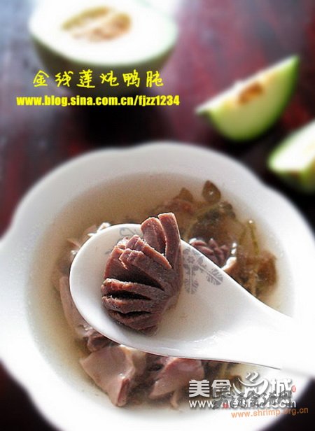 金线莲炖鸭肫的做法