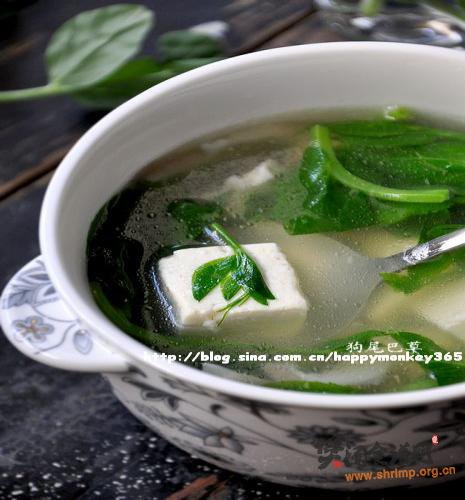 豌豆尖蘑菇豆腐汤的做法