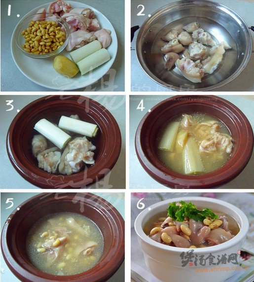 黄豆蹄花汤的做法