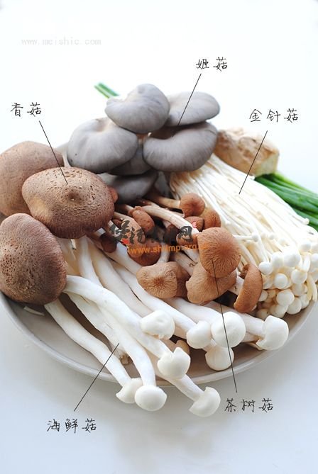 牛尾鲜菌汤煲的做法