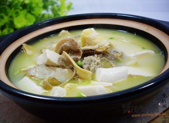笋尖河蚌煲豆腐的做法