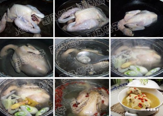 枸杞鸡肉煲的做法