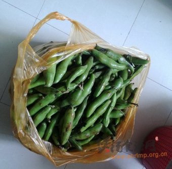 豆米鸡蛋汤的做法