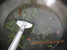 鲜香椿糊子椒的做法