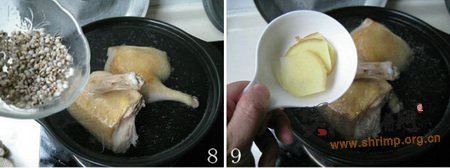 薏米冬瓜老鸭汤的做法