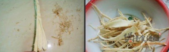 茴香根排骨汤的做法