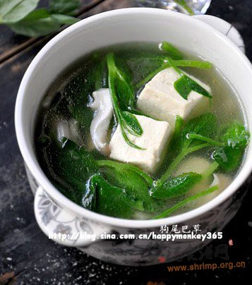 豌豆蘑菇豆腐汤的做法