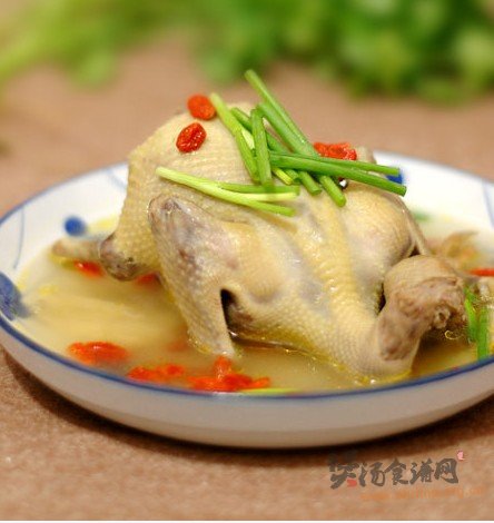枸杞鸽子汤的做法