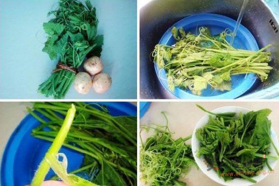 南瓜藤土豆汤的做法