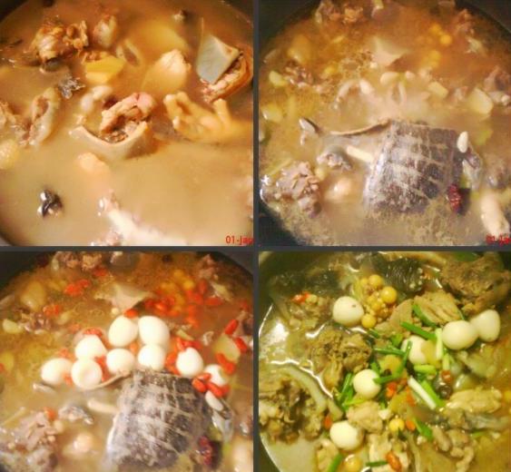 鸡汤炖甲鱼的做法