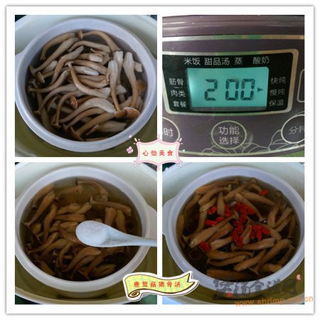 鹿茸菇猪骨汤的做法