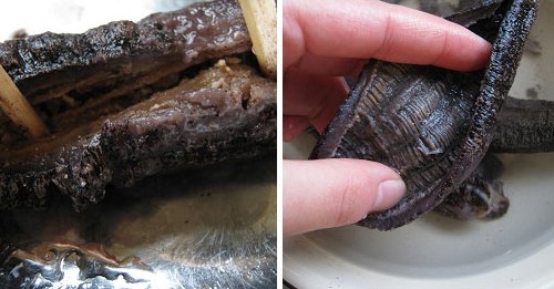 土鸡煨海参的做法