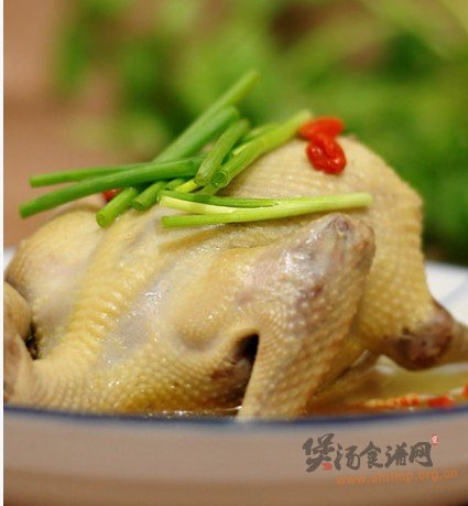 枸杞鸽子汤的做法
