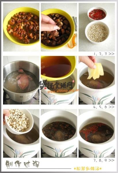 超级滋补的松茸乳鸽汤——夏季女性美容养身汤的做法
