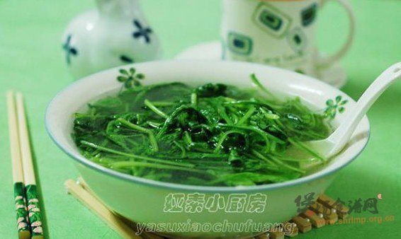 萝卜苗素汤的做法