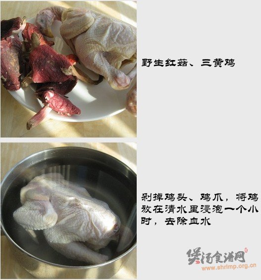 红菇鸡汤的做法