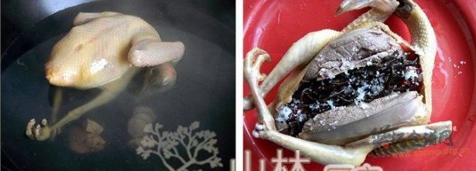 胡椒根鸽子汤的做法