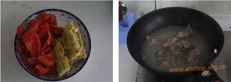 番茄玉米排骨汤的做法