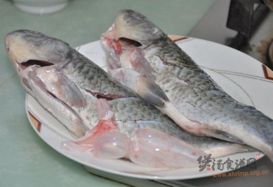 橄榄鲫鱼汤的做法