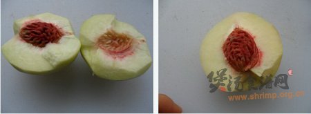 糖水桃子的做法