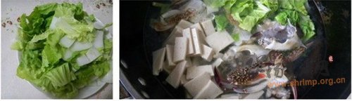 螃蟹白菜炖豆腐的做法
