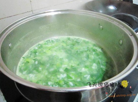 小白菜粥的做法
