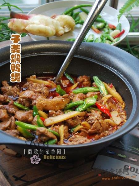 子姜焖鸭煲的做法