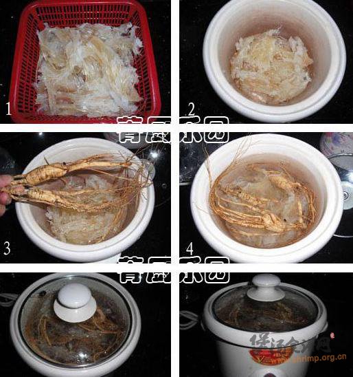 人参鱼翅煲的做法