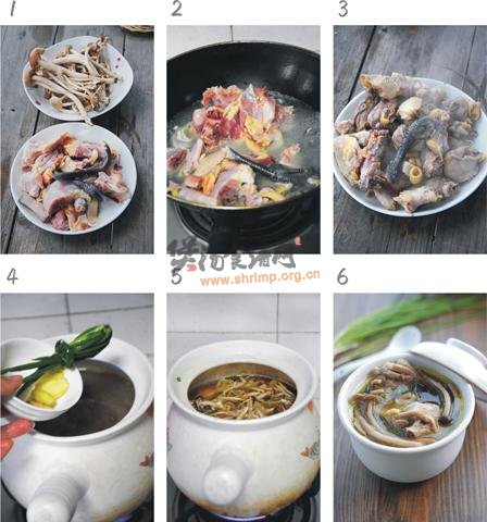 茶树菇鸡汤怎么做的做法
