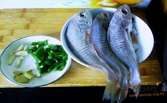 家常炖小黄鱼的做法