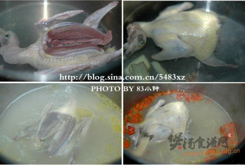 枸杞鸽子汤的做法