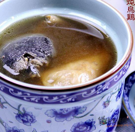 松茸炖乌鸡的做法